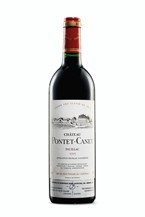 Pauillac Chateau Pontet Canet 1995 Pauillac - Chateau Pontet Canet 1995